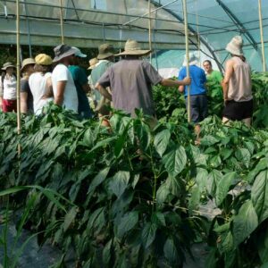 Le catalogue de formations et rencontres techniques est sorti