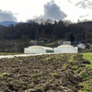 Faciliter l’installation de nouveaux producteurs