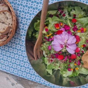 Encourager les initiatives de démocratie alimentaire