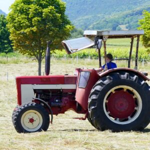 Le collectif Nourrir la Ville