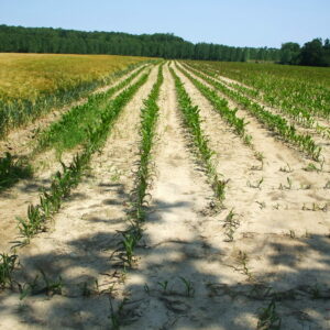 Appel à témoignages – Impacts de la sécheresse et des chaleurs